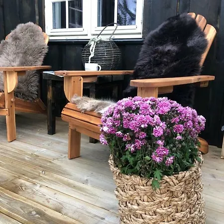 Cozy Cabin On Golsfjellet, Close To Sanderstolen * Tisleidalen